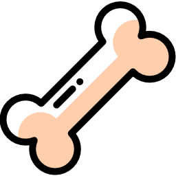 Bone / Joint